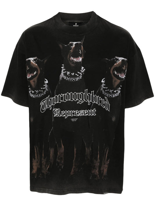 REPRESENT THOROUGHBRED BLACK